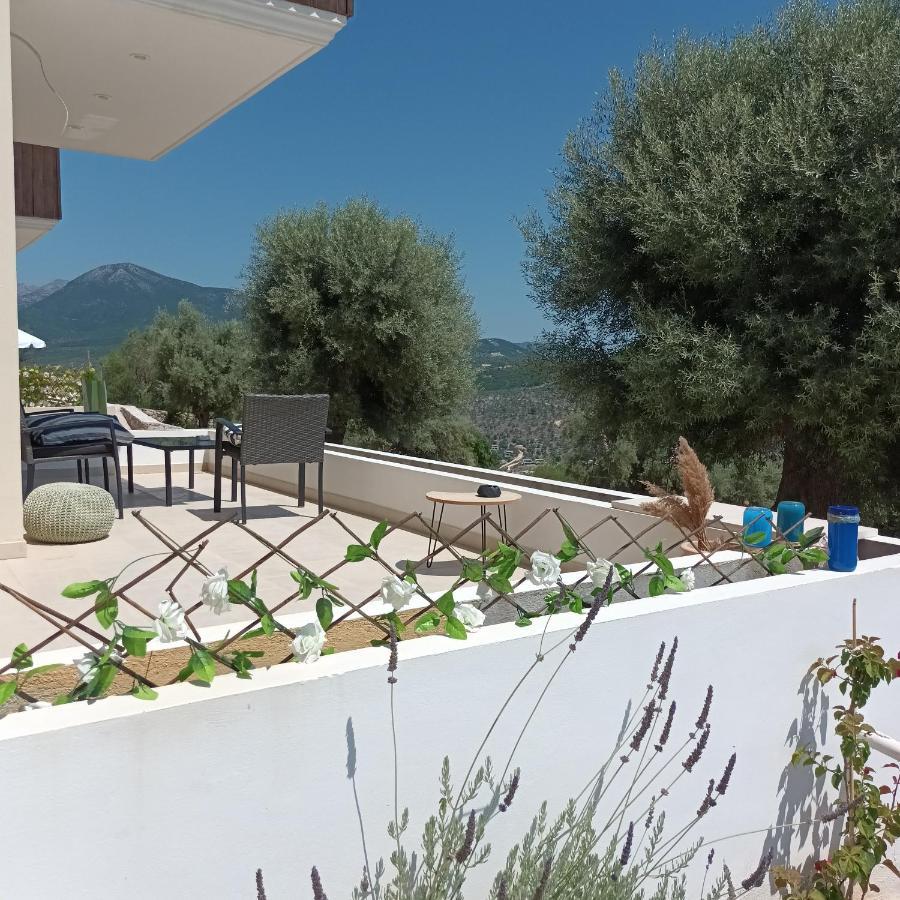 Kotseris Luxury Villas, Jiovanni Villa & Angelina Villa Syvota Exteriör bild